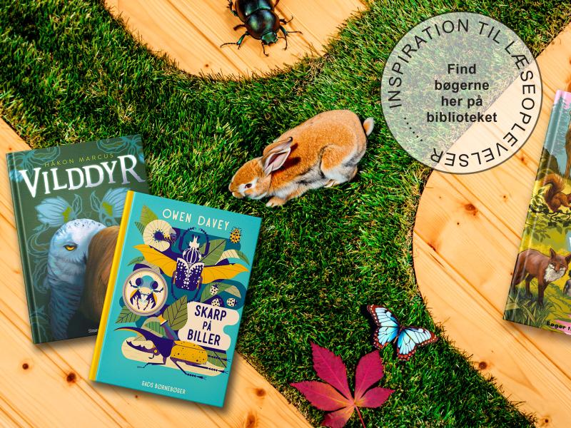 Inspirationsfolder - De vildeste dyr